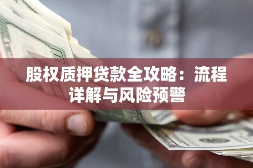 武汉股权质押贷款全攻略：流程详解与风险预警