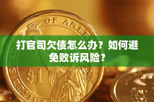 武汉打官司欠债怎么办？如何避免败诉风险？