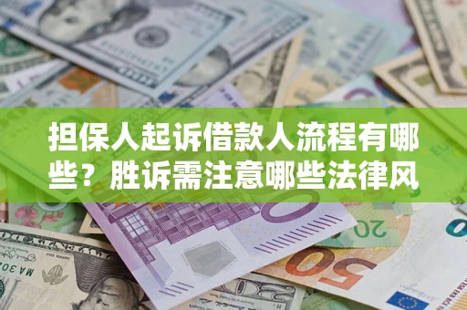 武汉担保人起诉借款人流程有哪些?胜诉需注意哪些法律风险? 武汉担保人起诉借款人流程有哪些?胜诉需注意哪些法律风险?