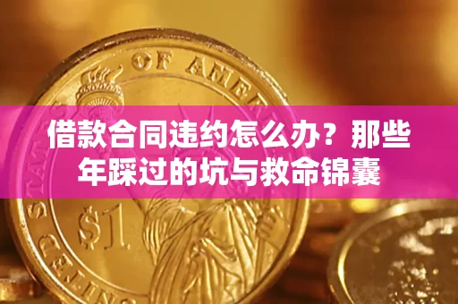 武汉借款合同违约怎么办?那些年踩过的坑与救命锦囊 武汉借款合同违约怎么办?那些年踩过的坑与救命锦囊