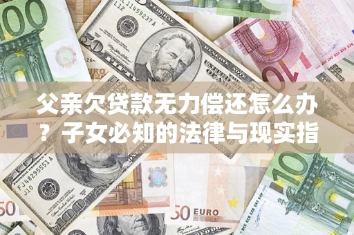 武汉父亲欠贷款无力偿还怎么办?子女必知的法律与现实指南 武汉父亲欠贷款无力偿还怎么办?子女必知的法律与现实指南