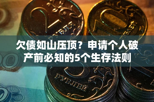 武汉欠债如山压顶？申请个人破产前必知的5个生存法则