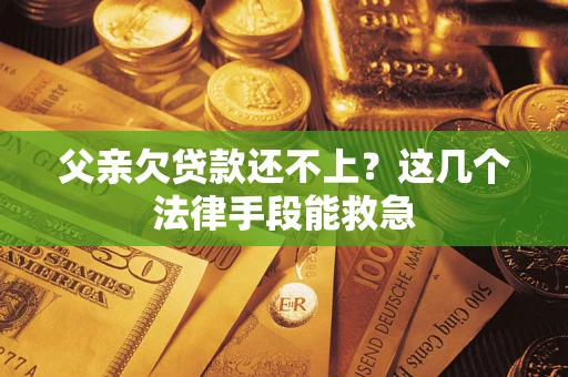 武汉父亲欠贷款还不上?这几个法律手段能救急 武汉父亲欠贷款还不上?这几个法律手段能救急
