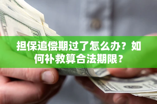 武汉担保追偿期过了怎么办？如何补救算合法期限？