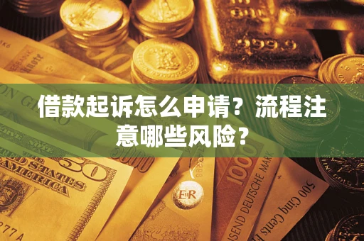 武汉借款起诉怎么申请？流程注意哪些风险？
